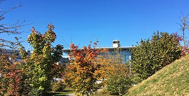 Photo de l'EuroAirport en automne