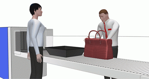 Picture hand baggage search