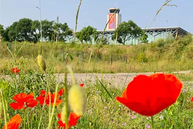 Photo de l'EuroAirport devant des coquelicots