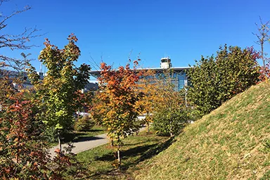 Photo de l'EuroAirport en automne