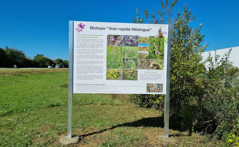 Photo du panneau pédagogique orchidées