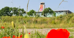Photo de l'aéroport devant des coquelicots